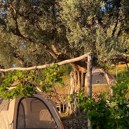 Kruje Camping