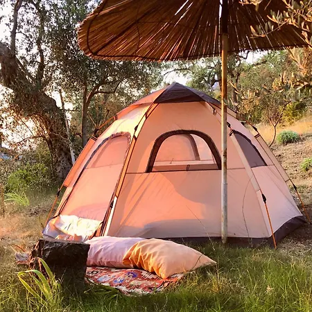 Kruje Camping * Kruje