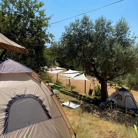 Kruje Camping Kruje