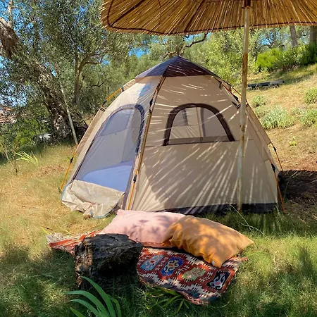 Campsite Kruje Camping *